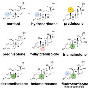 Corticosteroids (Rap Version)