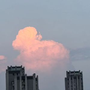 再见，十八岁的夏