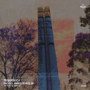 Los Descendientes De Bachué (Original Mix)