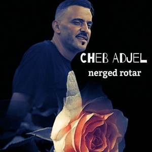 nerged rotar