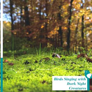 Thunder and Roaring Wind Sounds