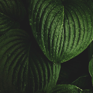 Seperti Cuaca Yang Bergantian