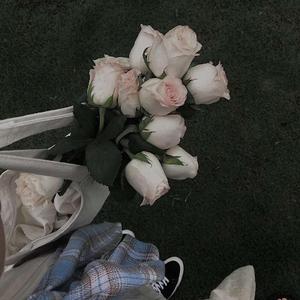 赤伶（翻自 7iis）