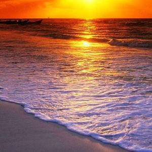 如果有一天我也老了