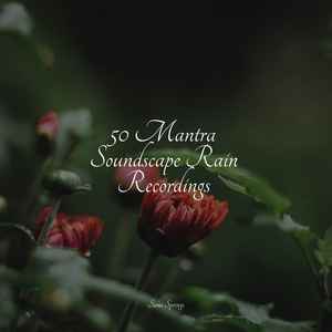 Soft Window Rains