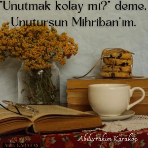 Abdurrahim Karakoç - UNUTURSUN MİHRİBAN