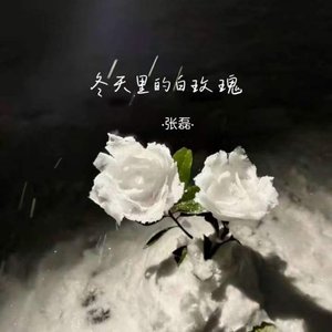 冬天里的白玫瑰（DJ张磊remix）