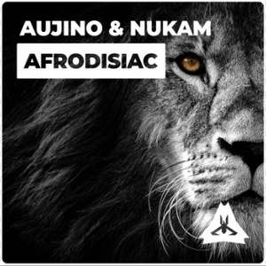 Afrodisiac (Original mix)