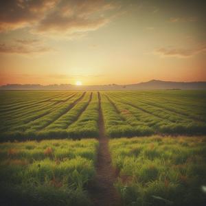 耕耘者之歌 by 甜美的致敬樂團