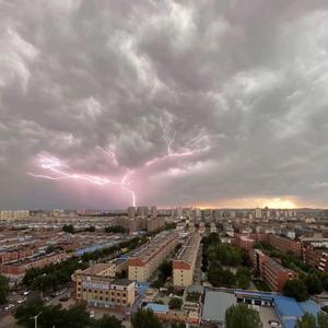 相逢何必曾相识