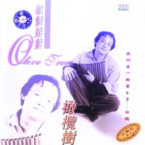 莫斯科郊外的晚上 Moscow Surburbs Night