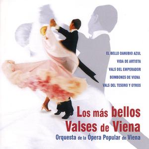 Strauss: Cuentos de los Bosques de Viena, Op. 325