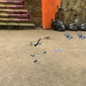 The Pigeon and the Squirrel