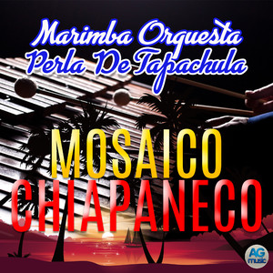 Mosaico Chiapaneco