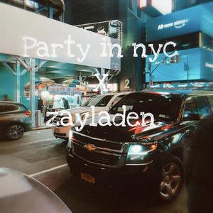 Party in nyc