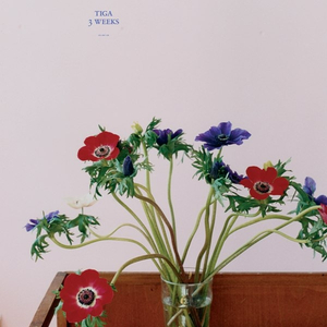 3 weeks (Booka Shade Dub Mix)