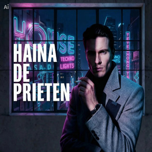 Haina de prieten (House Version)