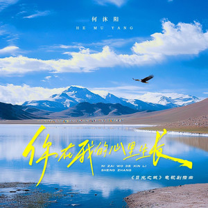 你在我的心里生长