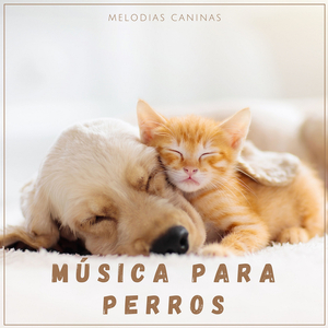 Melodía Tranquila para Dormir