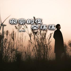 寂寞的夜空荡荡