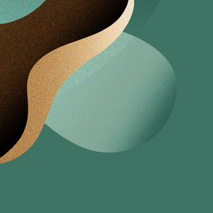 달빛 속의 반짝임