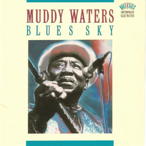 I Can't Be Satisfied