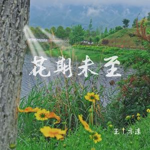 花期未至 【Boombap Type Beat】