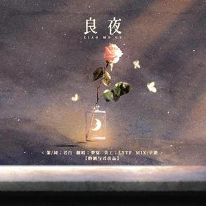 记《小蘑菇》——良夜(cover:白智英)