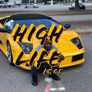 HIGH LIFE