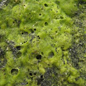 Arpeggio Bonus Modes