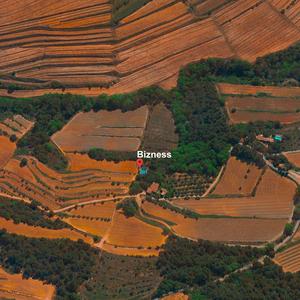 Bizness (feat. Virgile & Vrthvr)