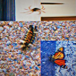 DEAD IDOLZ (feat. nic violets & SonniVegas)