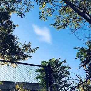 追（Prod.By Franco.D）