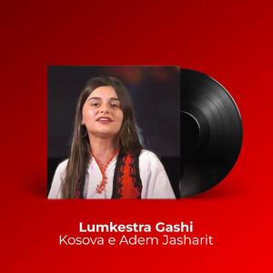 Kosova e Adem Jasharit