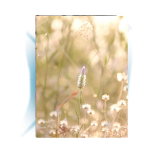 今日、君を送る