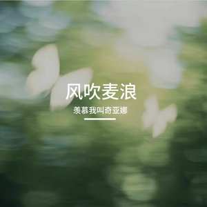 风吹麦浪