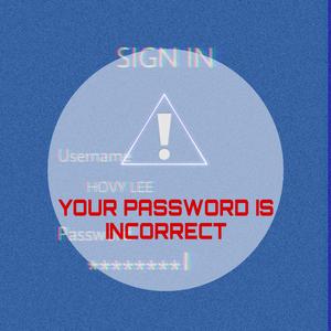 Your Password Is Incorrect（Demo）