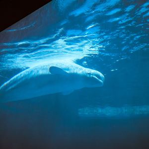 给自己的睡眠音乐: 雨天 / 入梦