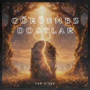 Görünmez Dostlar