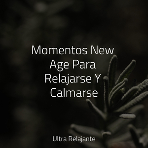 Horizontes Infinitos