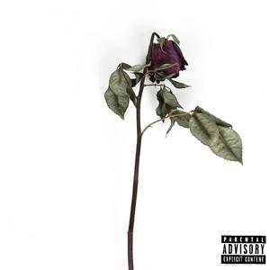 DEAD ROSES (Remix)