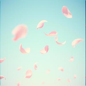 놓을수 없는 마음