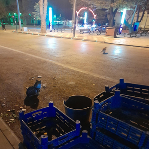 Bırakırmıyım Hiç Sanmam