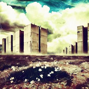 Fallande stjärnor inatt