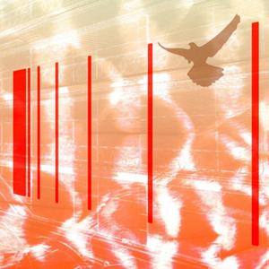 It's called "indoor falconry", and to be fair, your hat does have a lot of feathers