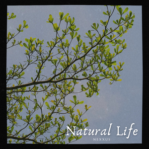 Natural Life (Radio Edit)