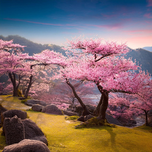 Desenrollando Notas En Flujo