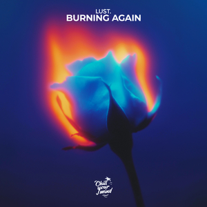 Burning Again