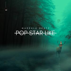 Pop Star Like