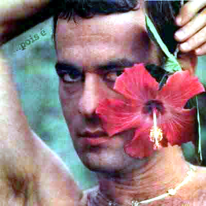 Pro Dia Nascer Feliz